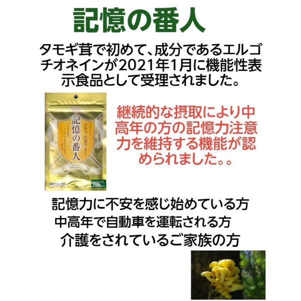 記憶の番人 タモギ茸 記憶力 注意力 エルゴチオネイン 機能性表示食品 120粒 | さくら医薬品ストア